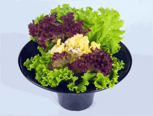 花样美腩牛腩火锅