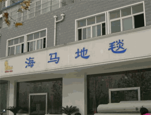 海马地毯