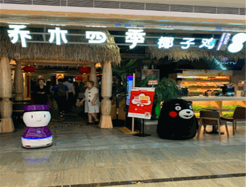 乔木四季椰子鸡
