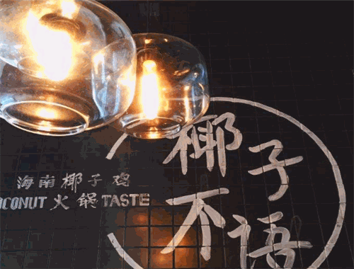 椰子不语