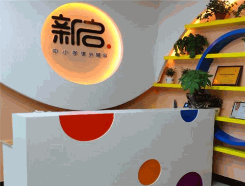 新启教育