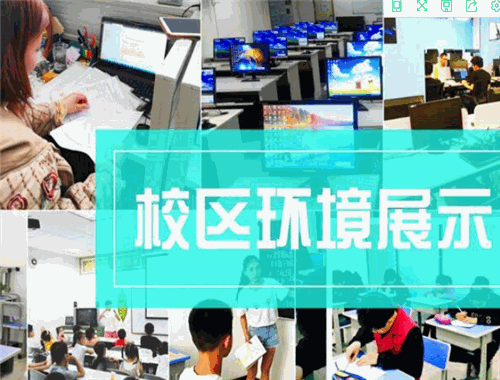 领信锐柏教育