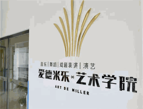 爱德米乐艺术学院