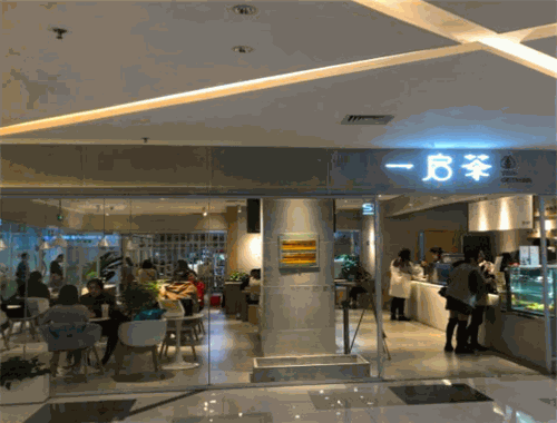 一启茶