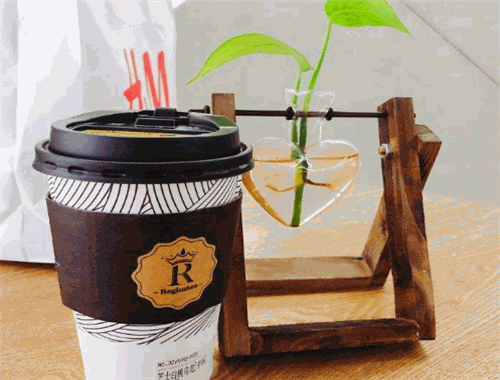 研茶森林