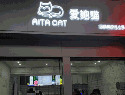 爱她猫现酵酸奶芝士茶