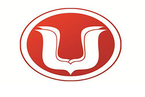 大美国际美术教育加盟