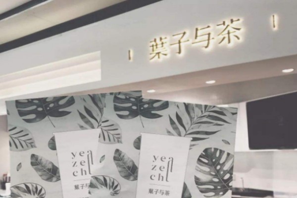 叶子与茶