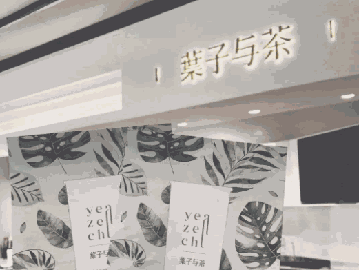 叶子与茶