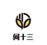 何十三双皮奶加盟