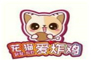 花猫爱炸鸡加盟