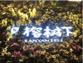 在榕树下花艺餐厅加盟