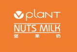 Vplant坚果奶加盟