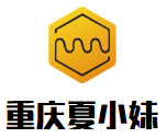重庆夏小妹酸辣粉加盟