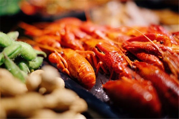 煌飛红小龙虾