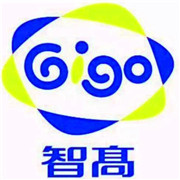 智高科学大卫营儿童教育加盟