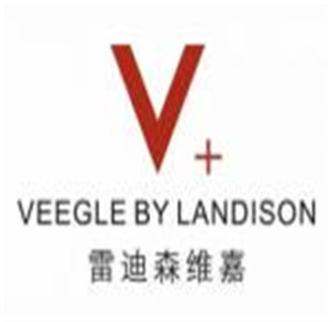雷迪森维嘉酒店加盟