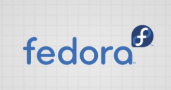 Fedora飞多儿童车加盟