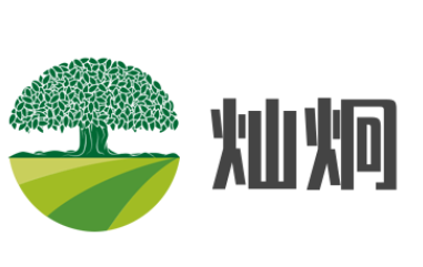 灿炯玩具加盟