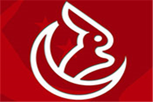丁月玉兔王加盟