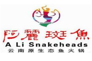 阿丽斑鱼庄加盟