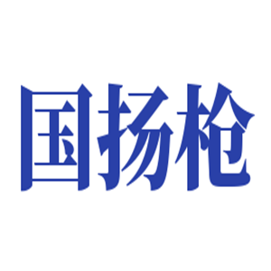 国扬枪玩具加盟