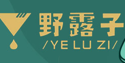 野露子潮流饮品加盟