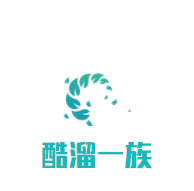 酷溜一族溜冰场加盟
