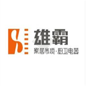 雄霸厨卫电器加盟
