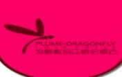羽蜻蜓音乐情侣主题酒店加盟