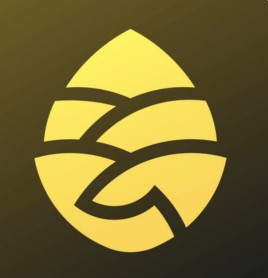松果出行加盟