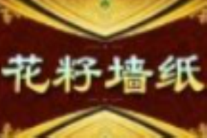 花籽墙纸加盟