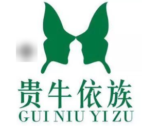 贵牛依族衣服加盟