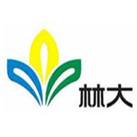 林大美缝剂加盟