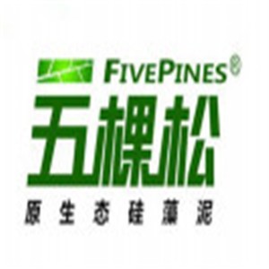 五棵松硅藻泥加盟