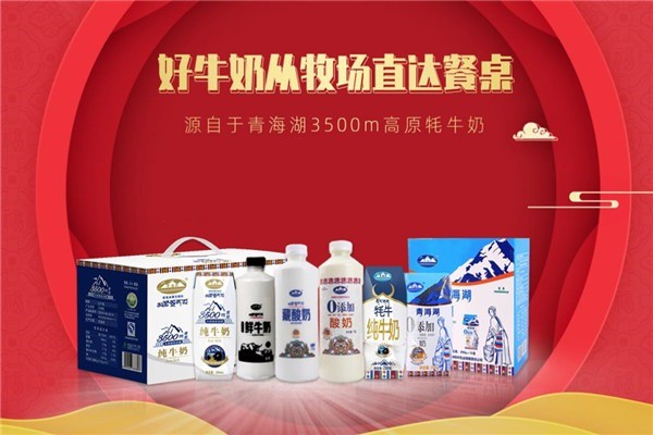雪峰牦牛乳业