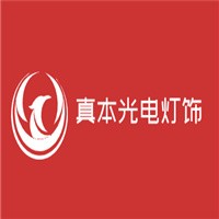 真本光电灯饰加盟