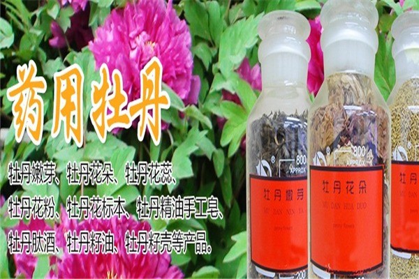 香四海