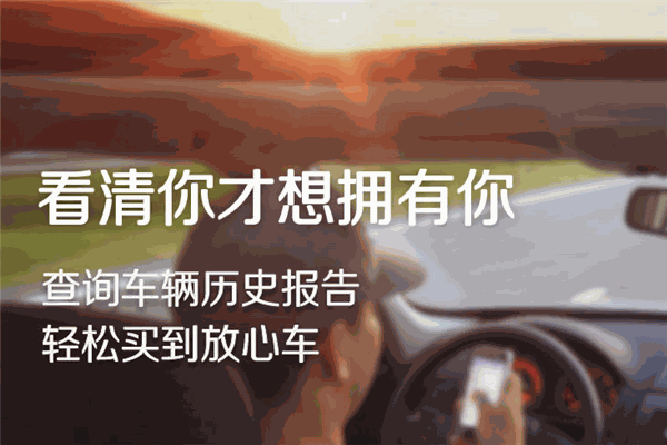 车鉴定app
