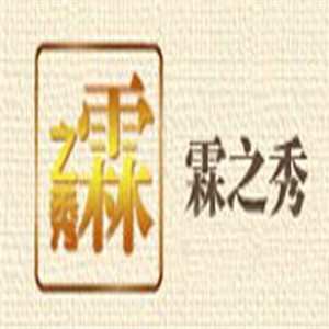 霖之秀女装加盟
