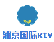 浦京国际ktv加盟
