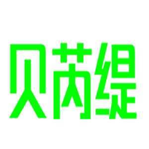 贝芮缇外贸鞋加盟