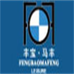 丰宝马丰男装加盟