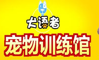 犬语者宠物训导馆加盟