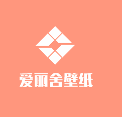 爱丽舍壁纸加盟