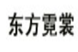 东方霓裳女装加盟