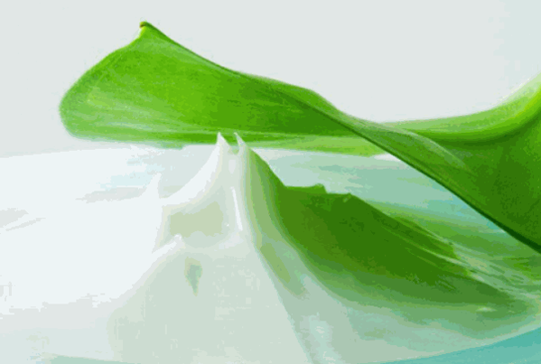 小蝌蚪植物护肤