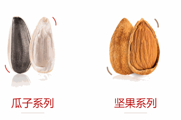 薛记炒货