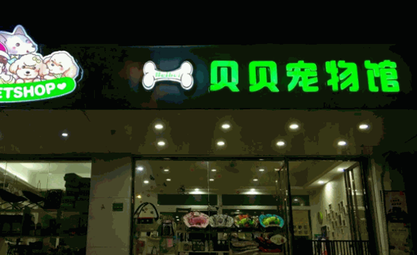 宝宝贝贝宠物店