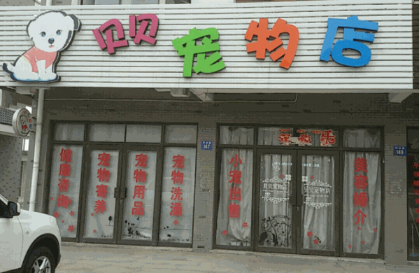 宝宝贝贝宠物店